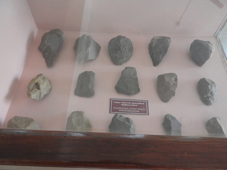 Pleolithic Stone Tools 1 Govt.museum salem India