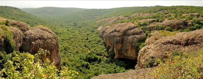 Gudiyam Cave Top View