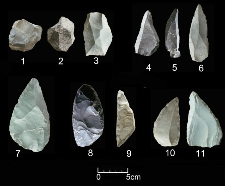 Typical artifacts of the TMP techno complex found in the Tongtiandong Cave site of Northwest China
