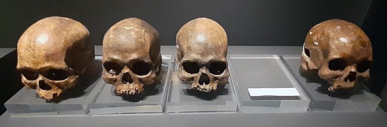 Lagoa Santa skulls