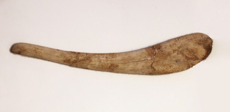 Bovine Rib Dagger, Natufian Culture