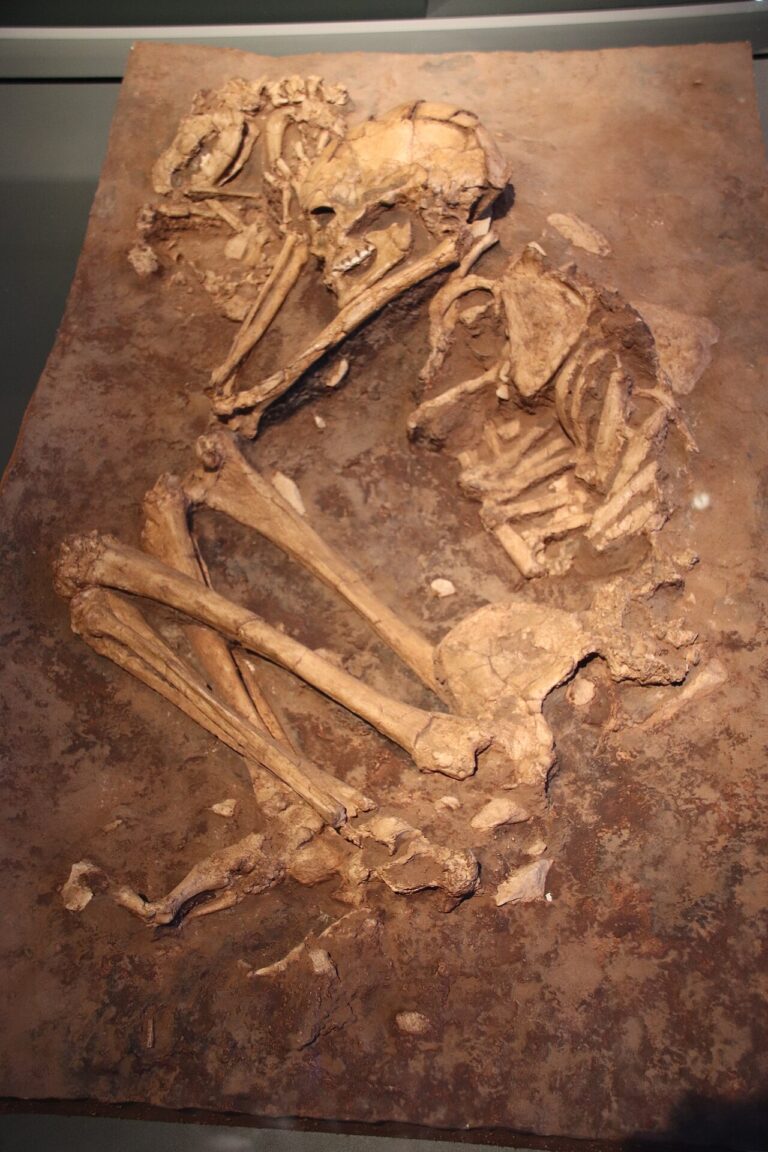 Burial of Woman & Dog, Natufian Culture, Cast