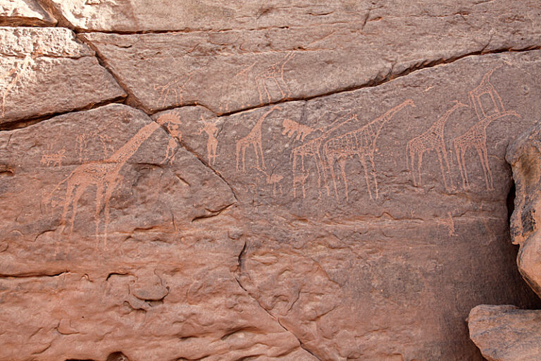 KarkurTalhPetroglyphsGiraffes2