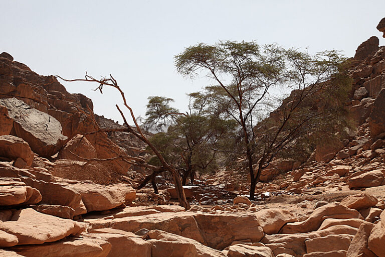 KarkurTalhLandscape2