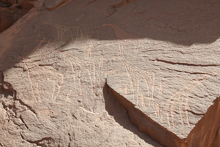 KarkurTalhPetroglyphsGiraffes