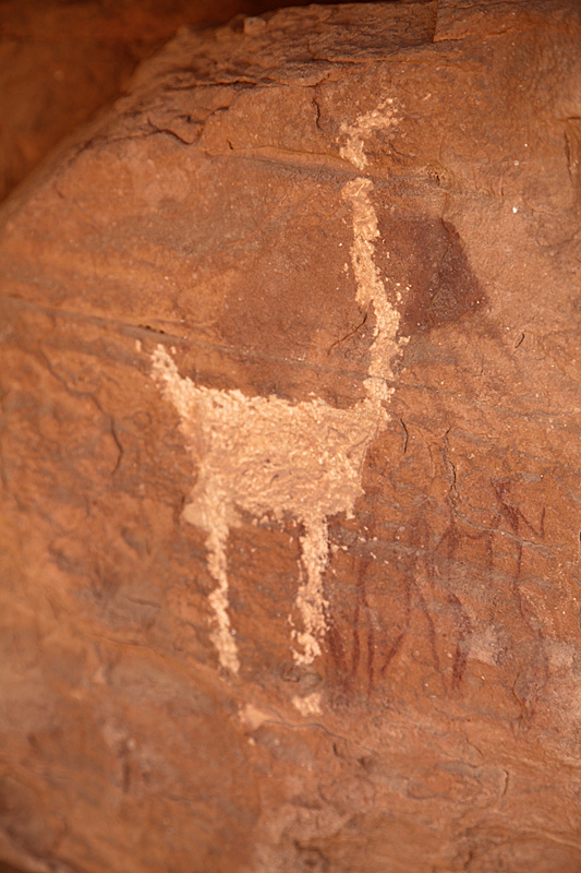 KarkurTalhPetroglyphsOstrich