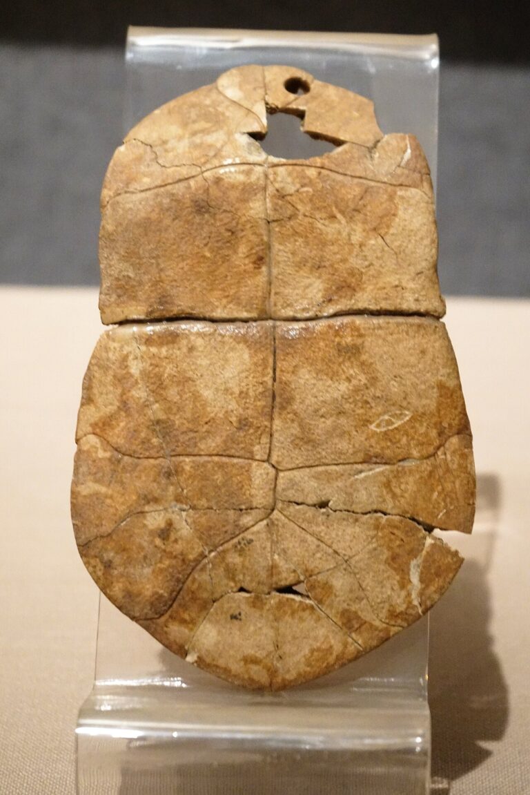 Toitoise shell engraved symbol