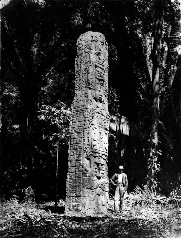 A glimpse of Guatemala Quirigua. Stela F