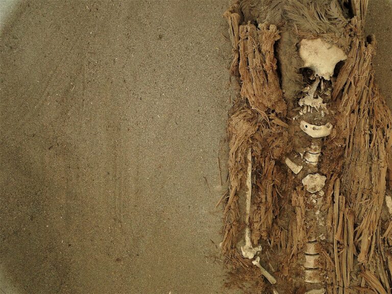 Chinchorro Mummy