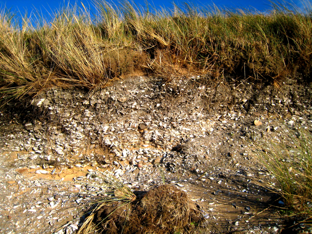 Newburgh, Mesolithic shell midden