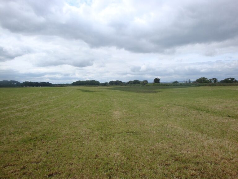 Star Carr site looking NWW