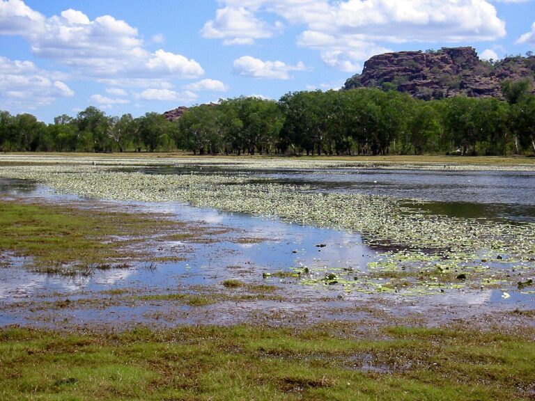 Anbangbang Billabong Australia