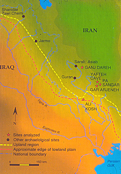 Ganj dareh