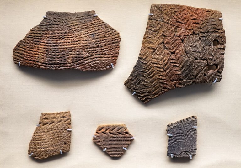 Pottery bowl fragments, Early Neolithic Egypt, Nabta, BCE, British Museum EA76916 EA769046 EA76941 EA76943 EA76944