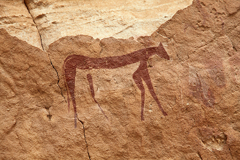 WadiSuraAnimal