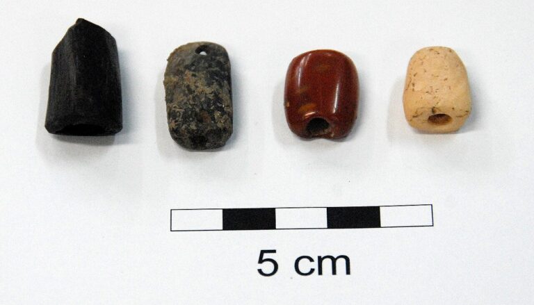 Drilled shell and bone and seed beads from the Lapita site at Bourewa in Fiji
