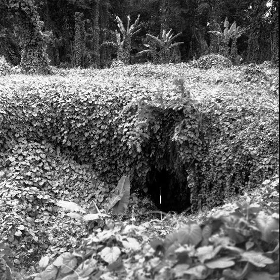 F 2 Ak Uni entrance to main shaft Falemauga Caves