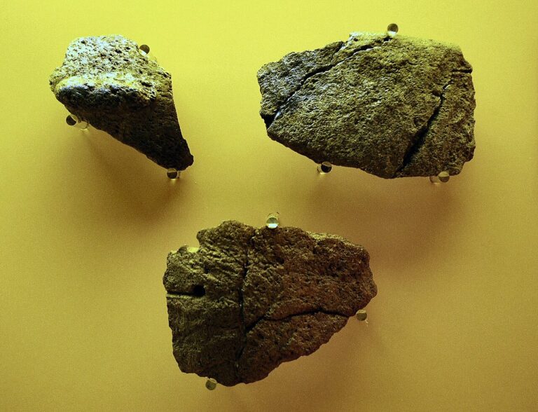 Archaic period soapstone artifacts tn1