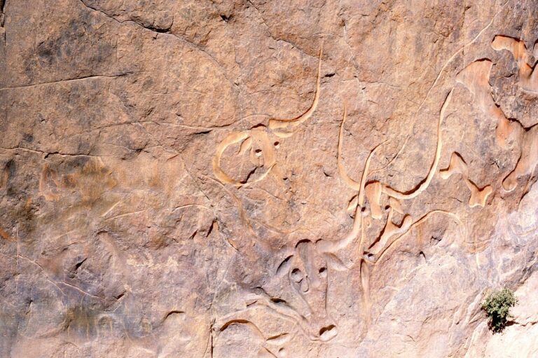 Tassili Bulls