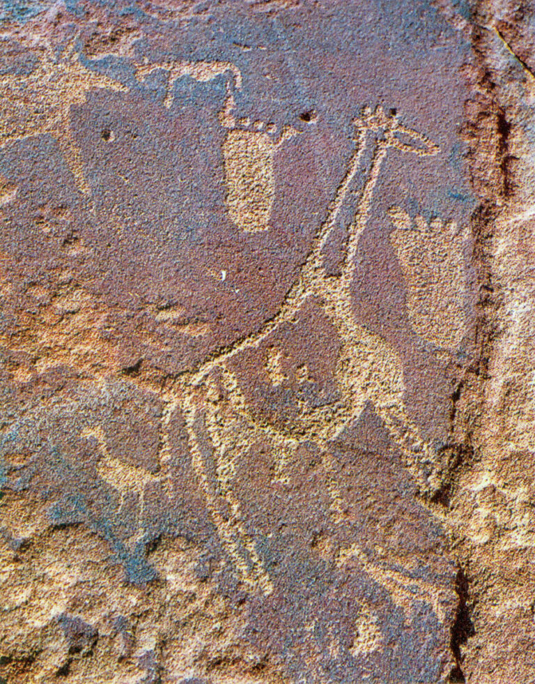 Rock carving from the Tassili n'Ajjer mountains