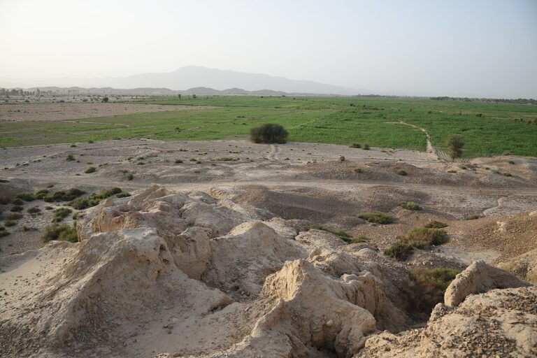 Mehrgarh Site Indus Valley
