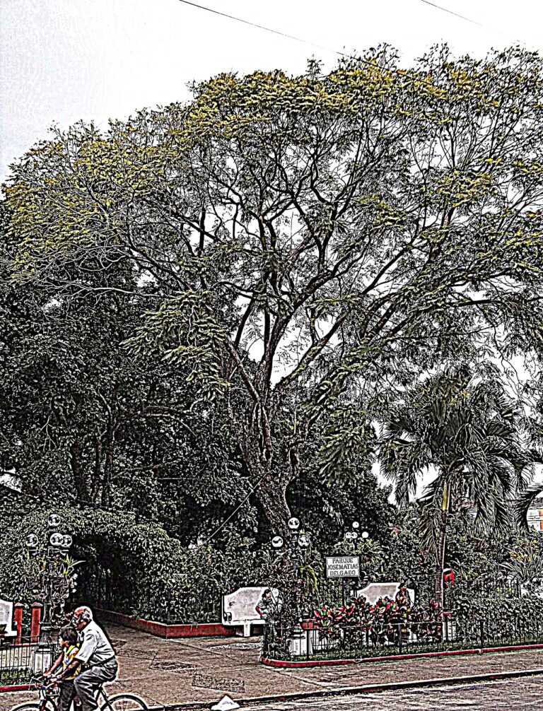 Monument park at Chalchuapa
