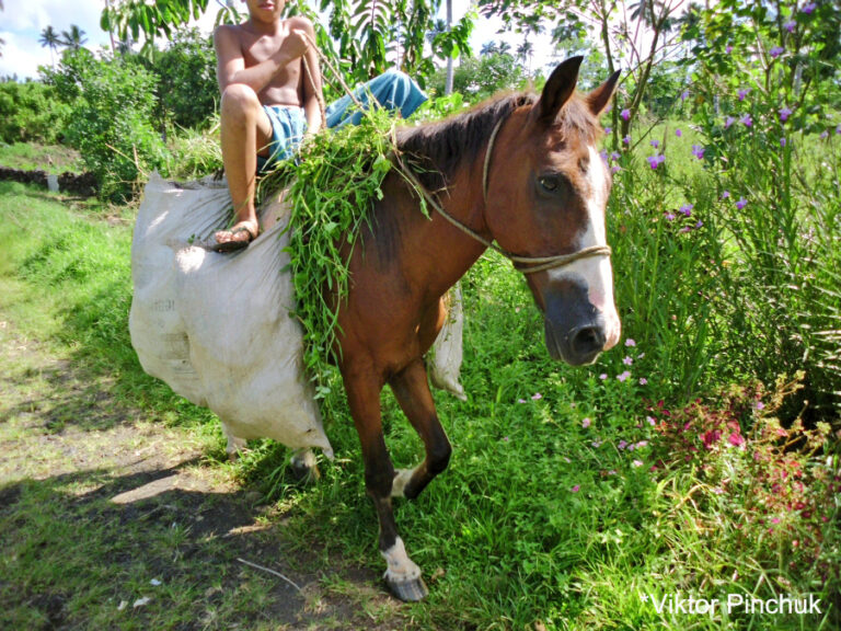 An aborigine from a village on the island of Savai'i