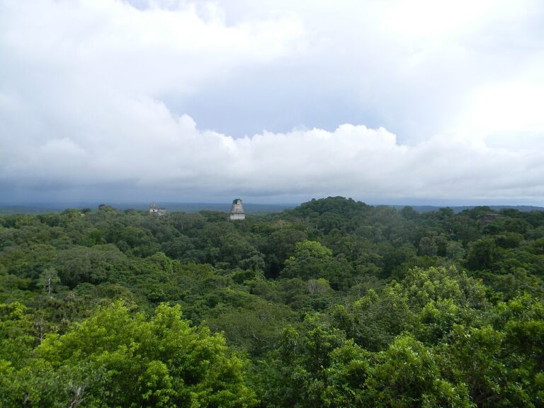 Tikal, Guatemala Laslovarga62