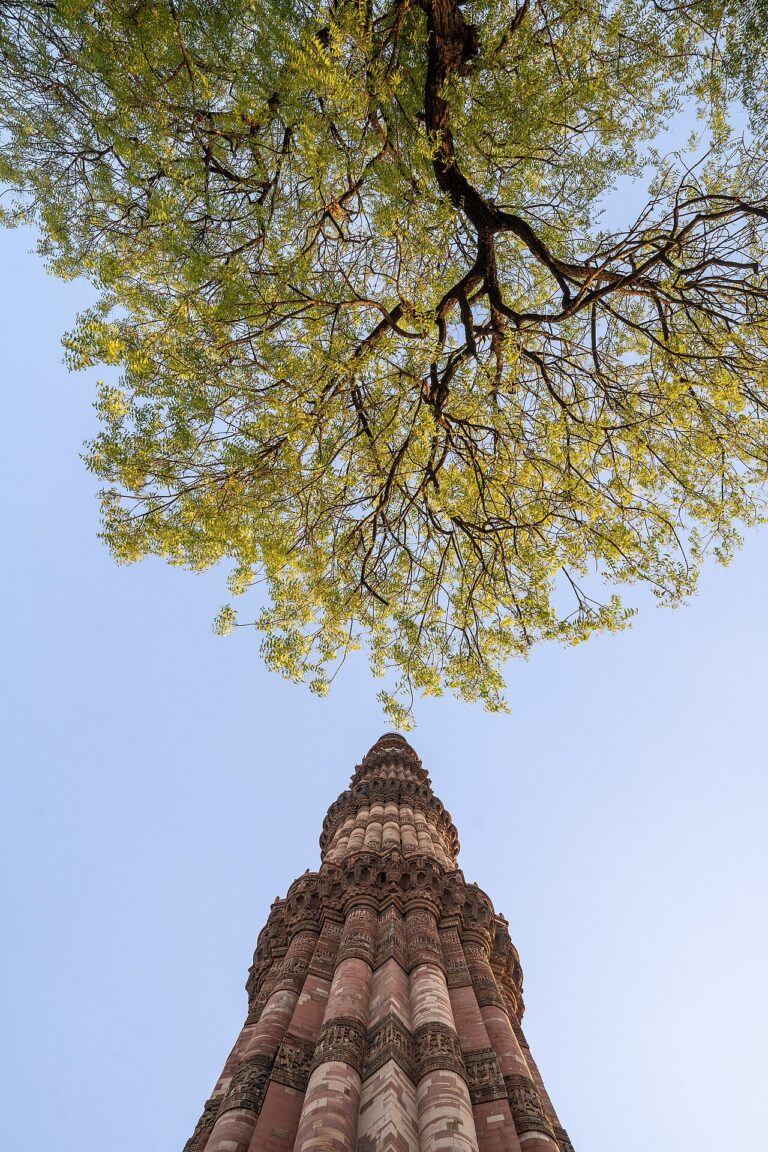 Qutb Minar with Neem Tree