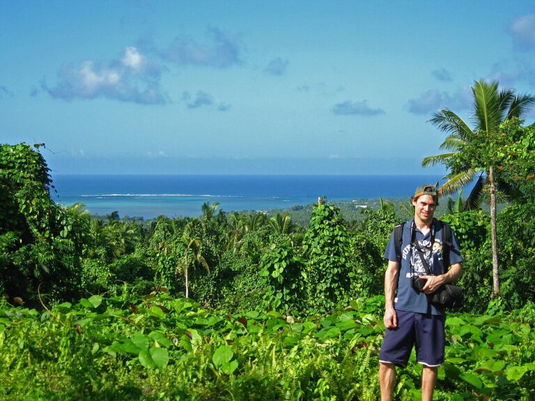View from Pulemelei Mound Samoa