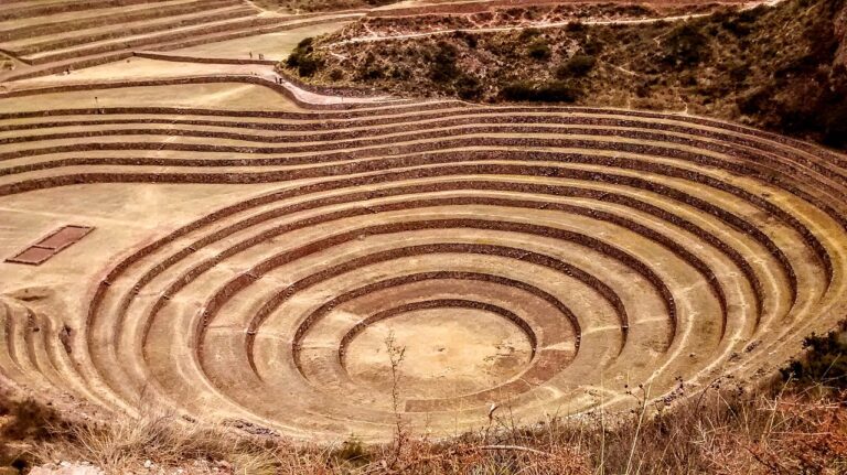 Moray