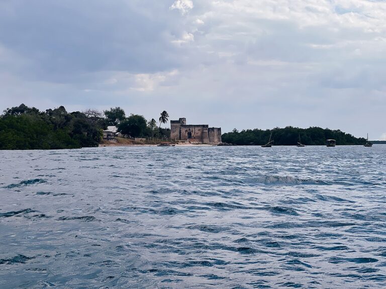 Kilwa Kisiwa View