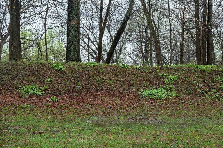 Fort Ancient Earthworks