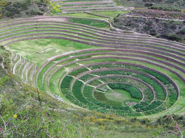 Moray Qechuyoq