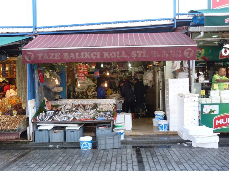 Spice Bazaar, Istanbul .10.23