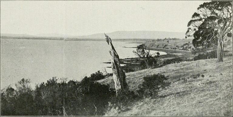 The Land of the Lyre bird; a story of early settlement in the great forest of south Gippsland. Being a description of the Big Scrub in its virgin state with its birds and animals, and of the