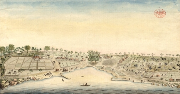 SYdney Cove Port Jackson