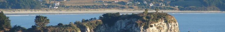 Blueskin Bay banner