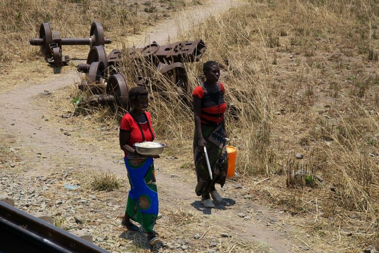 Ladies selling food along the TAZARA Railway in Zambia
