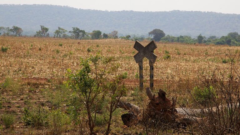 Railway Crossing along the TAZARA