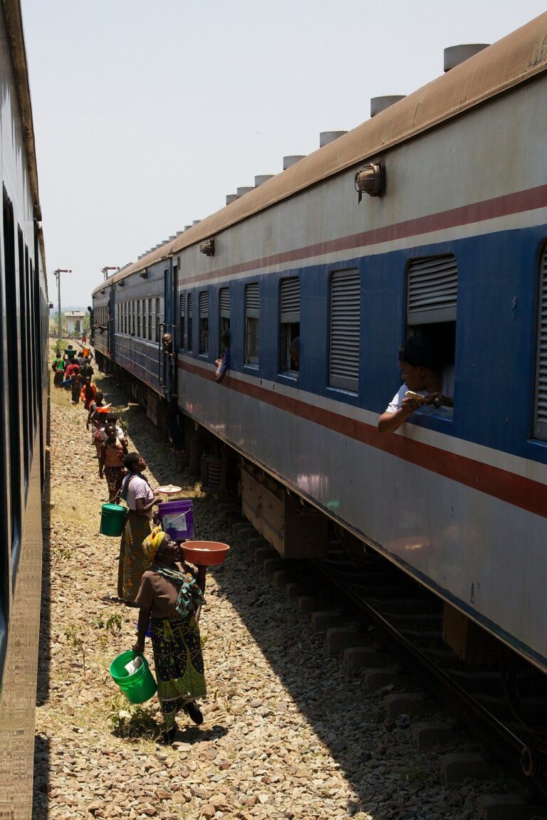 Vendors along the TAZARA Railway in Zambia