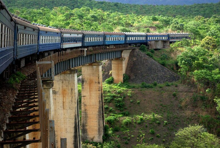 Tazara crossing bridge