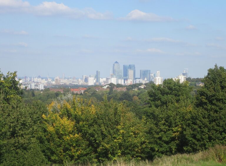 Canary Wharf skyline beyond south London trees