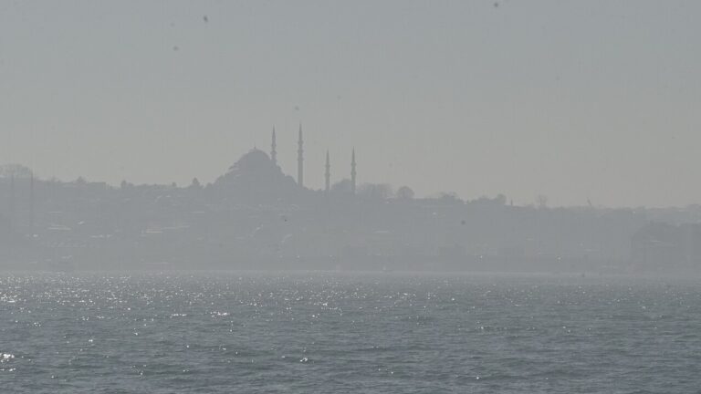Mosque silhouette across the Bosphorus
