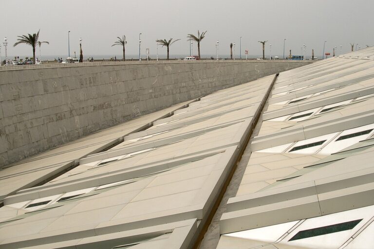 Roofline of the Bibliotheca Alexandrina