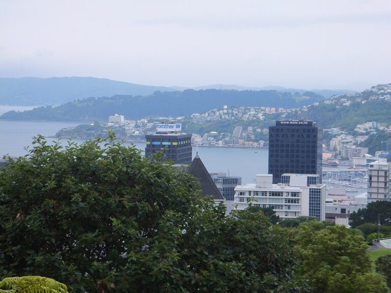 Wellington harbor and hillside suburbs
