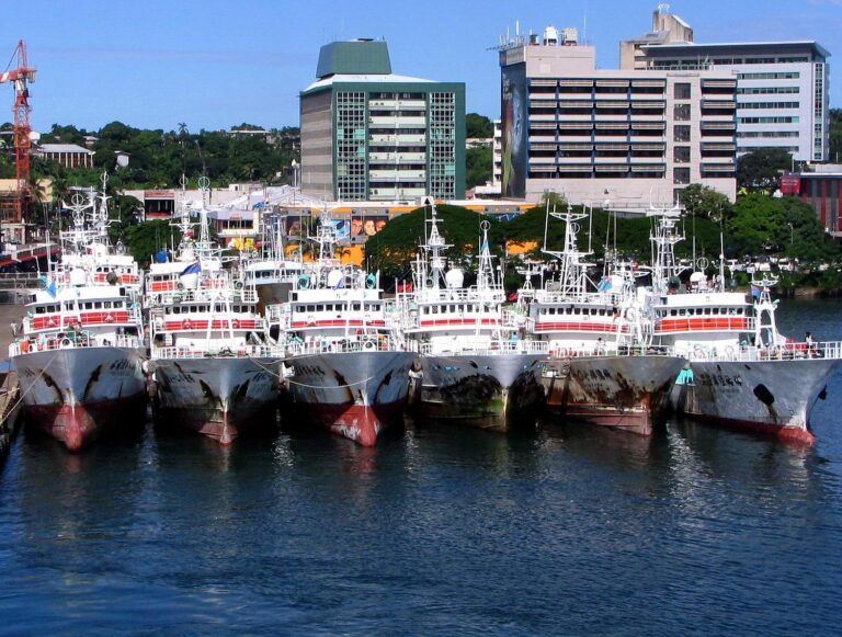 Fishing fleet in Suva Harbour