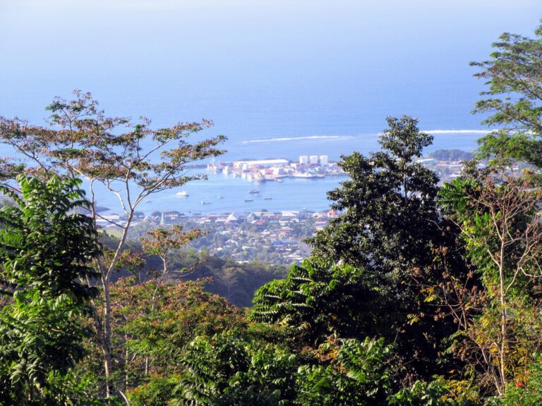 Apia harbor from Mount Vaea