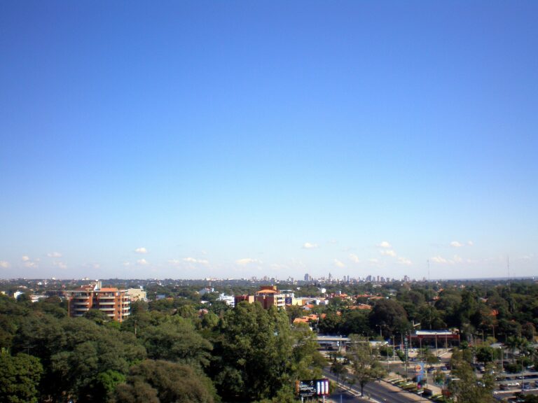 Distant Asuncion skyline beyond tree cover