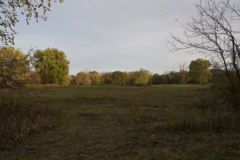 Blacklick Woods New Discovery of possible Adena Mound